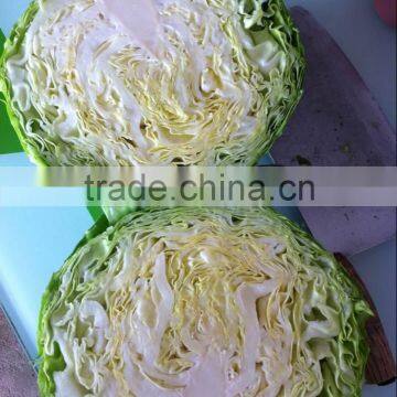 Hot Selling Fresh Cabbage photo-2