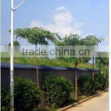 Integrated solar street light 20w all in one LED solar street lamp