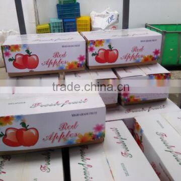 High Grade Qinguan Apples photo-5