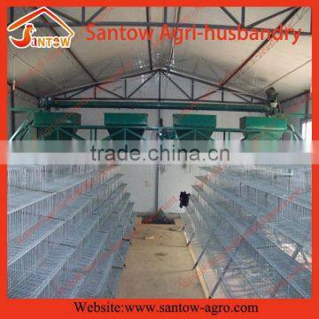 Bottom price most popular quail cages items for quail farm