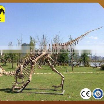 dinosaur fossils playground for outdoor using