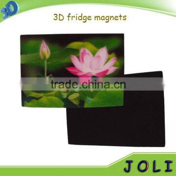 china factory custom pictures 3d fridge magnet wholesale