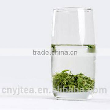 Organic Tea as Chinese Famous Green Tea photo-4