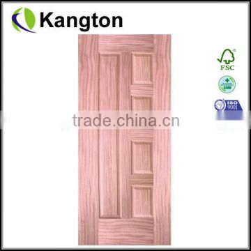 veneer skin door with design