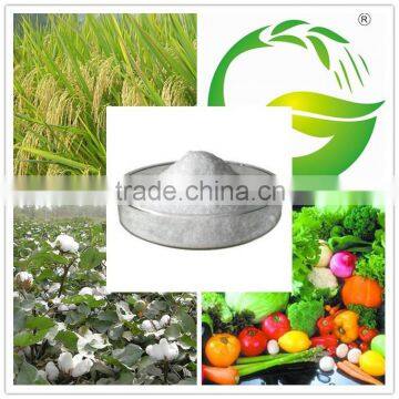 Plant Growth Regulator---Brassinolide (95% TC, 0.1% soluble powder)