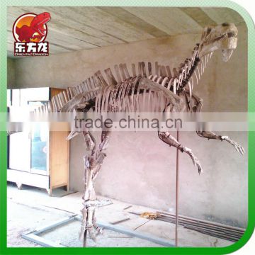 The hadrosaurs Skeleton for sale