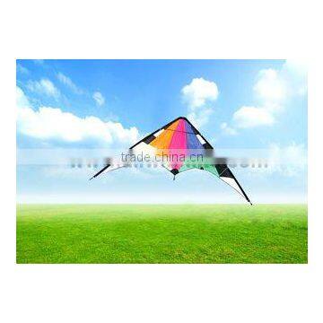 Dual Line Delta Stunt Kites - Curved Edge Kites