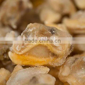 IQF frozen fresh yellow baby clam meat