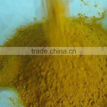 Indian Turmeric Exporters