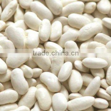 White Kidney Beans HPS grade