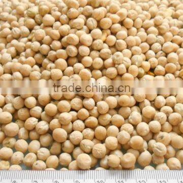 Whole Yellow Peas