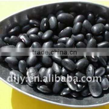 Chinese Small Black Turtle Beans