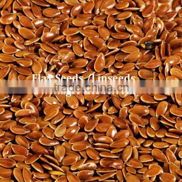 Flax Seeds