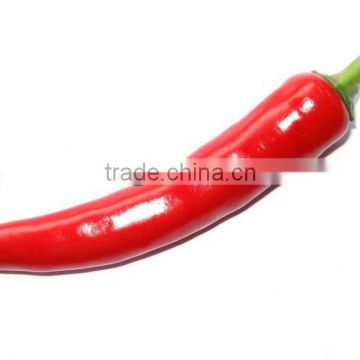 2012 red-hot-dried-chilli/pepper (greenliving)