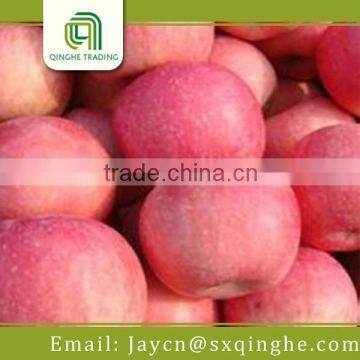 fresh fuji apple fruit specification