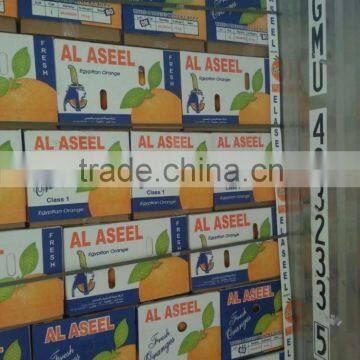 Pallets for Egyptian Oranges