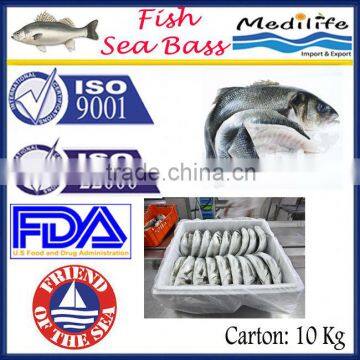 Fresh sea bass, High Quality Fish Sea Bass, Tunisian Fish, Farm Fish