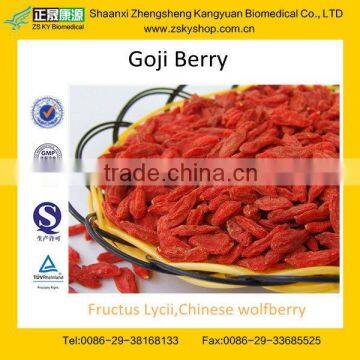 GMP certified factory supply High quality Ningxia Goji Berries good from China