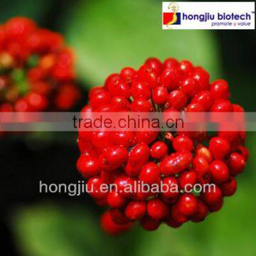 Ginseng Berry Extract Powder