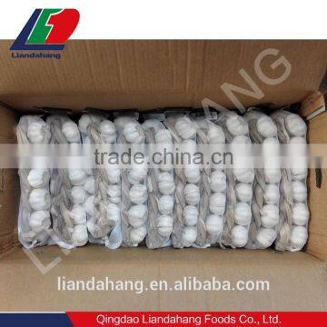 Certified GAP/ KOSHER/ HALAL New Crop Normal White Garlic photo-3