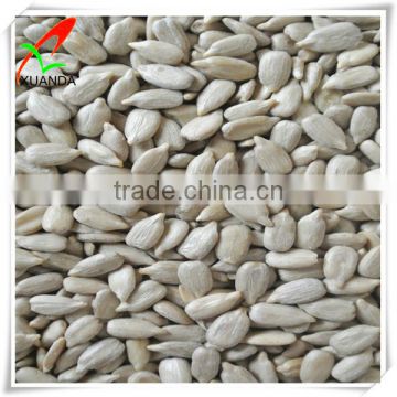 sunflower seed kernels confectionary for Europe