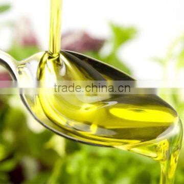 Natural refined Oil Evening Primrose oil