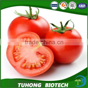 2016 F1 hybrid tomato seeds, hybrid vegetable seeds for planting