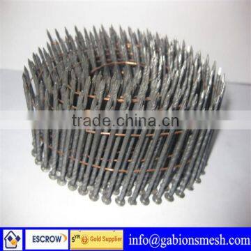 High quality,low price,coil nails,export to Asia,America,Europe