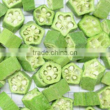 Vacuum Freeze Dryer for Fruit and Vegetable Manufacturer JK-FD-1N photo-5