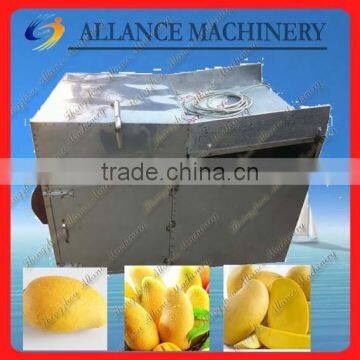 small machine fruit processing equipment