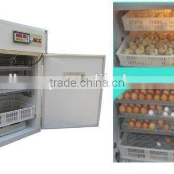 automatic egg incubators