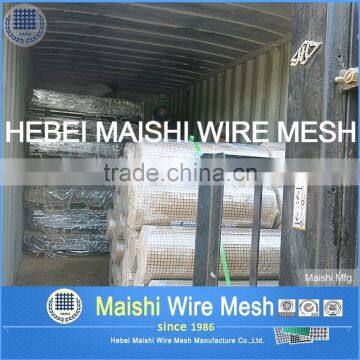 1/2" Sq Mesh Galvanized Weld Wire Mesh photo-2