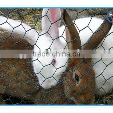 Hexagonal Netting Chicken Wire Hexagonal Wire Mesh With Green Plastic Finish photo-6
