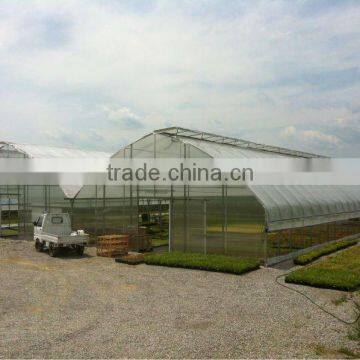 Agricultural Greenhouse sale