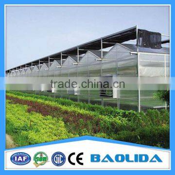 Low Cost Polycarbonater Garden Flowers photo-3