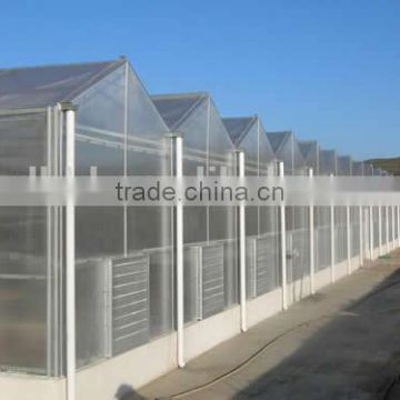 Factory Price Vegetables/Crops/Horticulture used poly carbonate sheet greenhouse