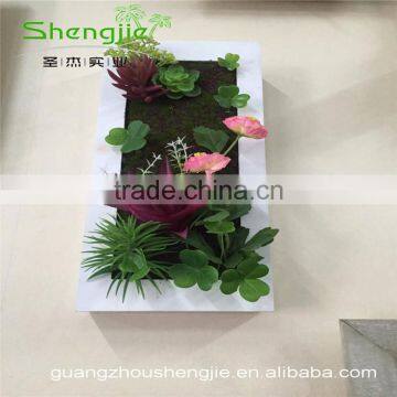 SJLJ013383 Artificial Succulent Plants for Wall / Wedding / Hotel Decoration photo-4