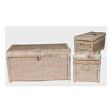 Trunk Set 3