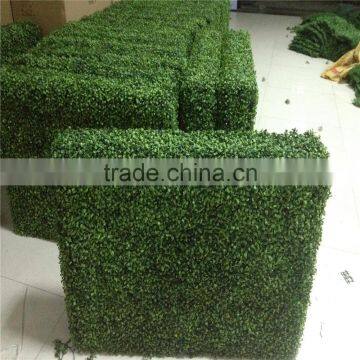 Shengjie Artificial Plastic Garden Border Hedge Fence for Outdoor or Indoor Use