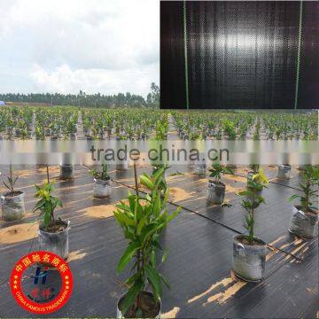 Factory Direct Sale Gardening Weed Control Geotextile photo-2