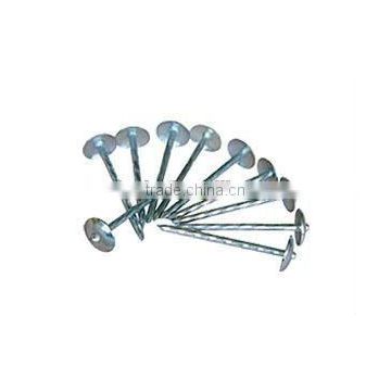 Type of roofing nails with umbrella head