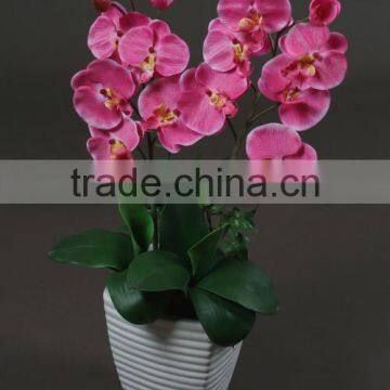 Rich and Colorful Orchid Small Plant Ornaments on the Table Manufacturer in China photo-3