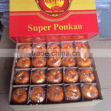 In 2016 Yongchun Fresh Orange Fragrant and Sweet Bright Red High Sugar photo-2