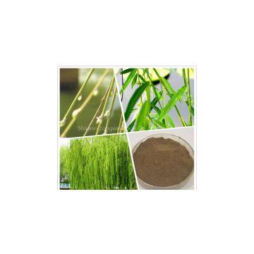 Willow Bark Extract plant extract factory