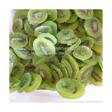 Kiwifruit Slice Drying Machine photo-5