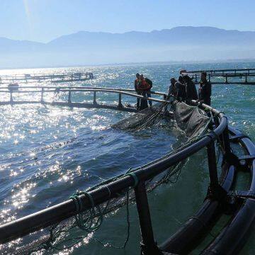 Floating Aquaculture Fishing Cage Square And Circle Salmon Cages