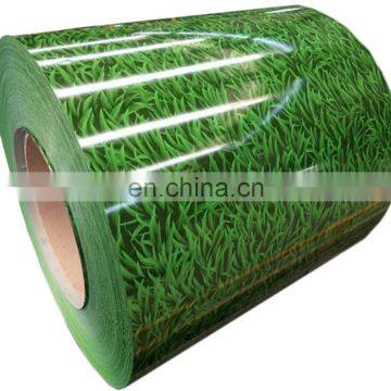Flower Print Ppgi Pre Painted Color Coated Steel Plate Sheet Coil photo-2
