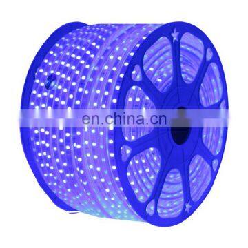 5050 Chip RGB Led Strip Light 110V 220V Waterproof Flexible Tube Lighting Stripe