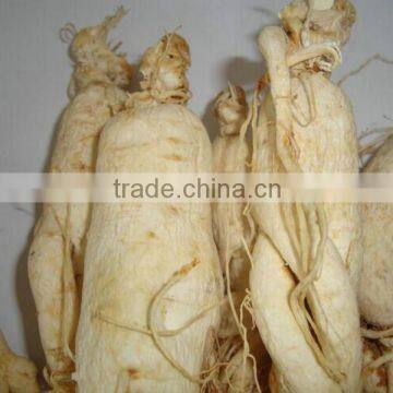 Top quality 100% natural sun dry white ginseng root with tail for tonic