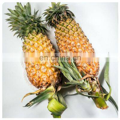 Vietnam Premium Quality WHOLE IQF Carton Common Cultivation Type Frozen Fruits For Dessert Snack Baking photo-4
